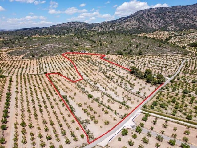 Terreno/Finca Rústica en venta en Lel, Alicante