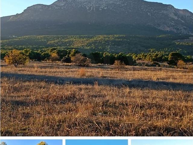 Terreno/Finca Rústica en venta en Lorca, Murcia