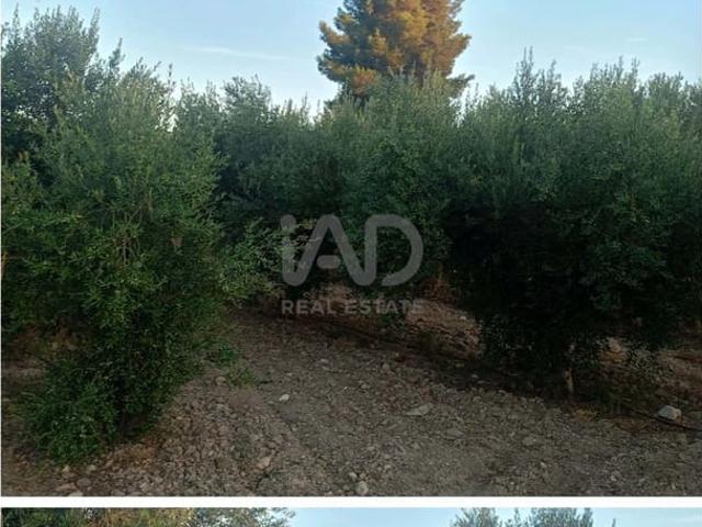 Terreno/Finca Rústica en venta en Lorca, Murcia