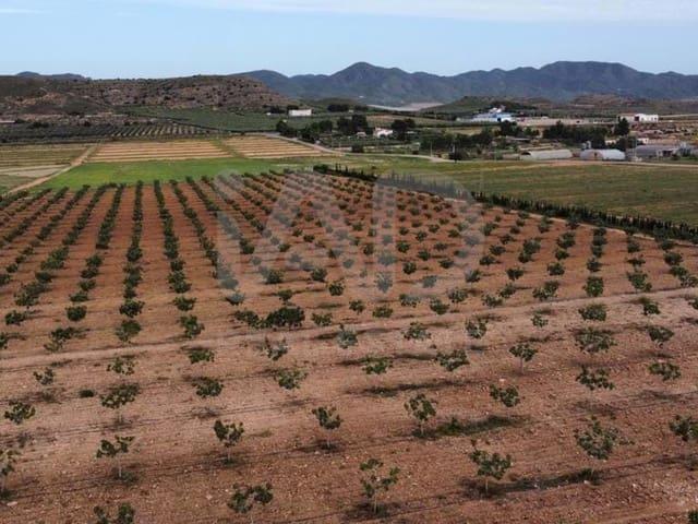 Terreno/Finca Rústica en venta en Lorca, Murcia