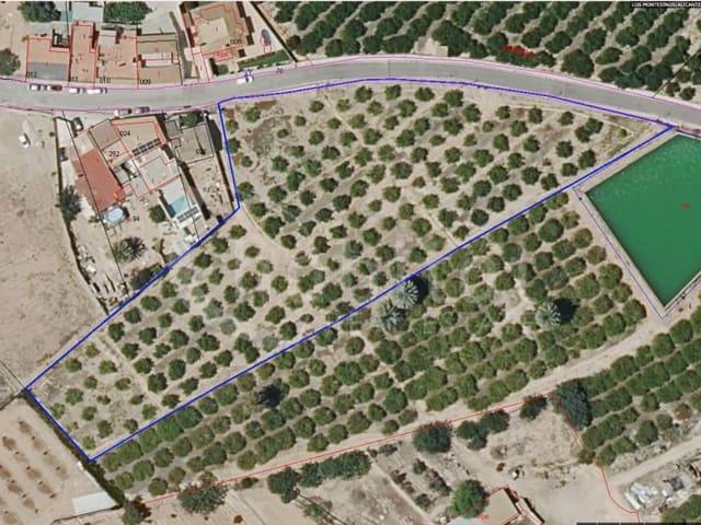 Terreno/Finca Rústica en venta en Los Montesinos, Alicante Costa Blanca