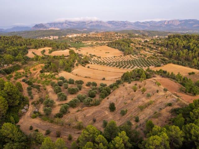 Terreno/Finca Rústica en venta en Lledó, Teruel