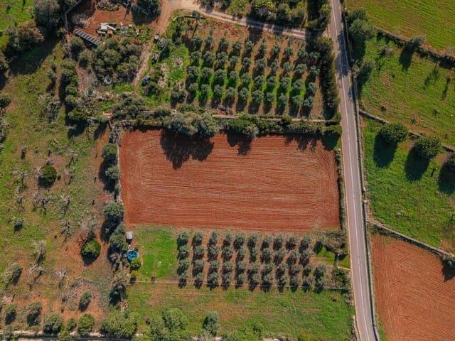 Terreno/Finca Rústica en venta en Llubí, Mallorca