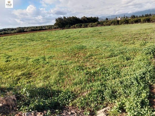 Terreno/Finca Rústica en venta en Llubí, Mallorca