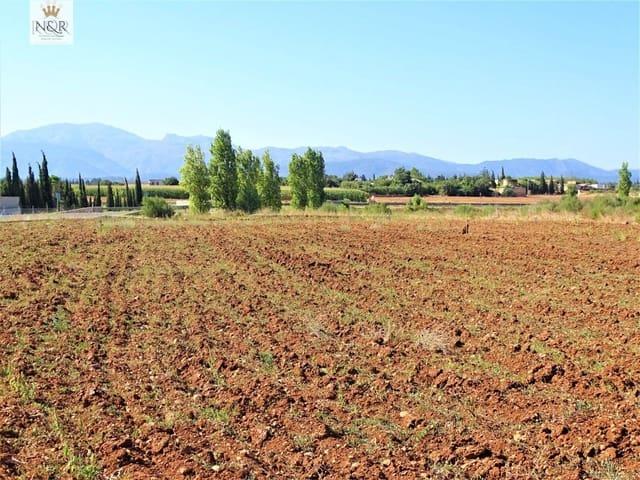 Terreno/Finca Rústica en venta en Llubí, Mallorca