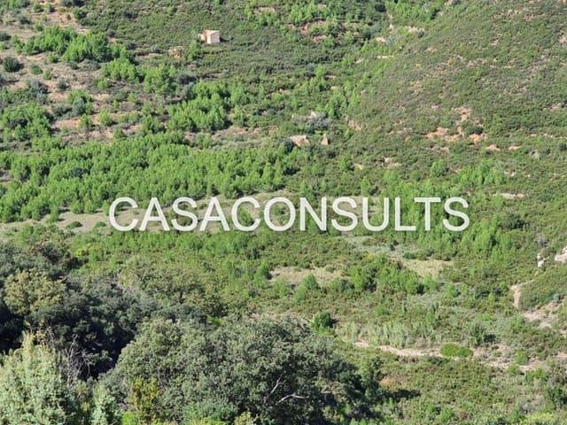 Terreno/Finca Rústica en venta en Llucena, Castellón