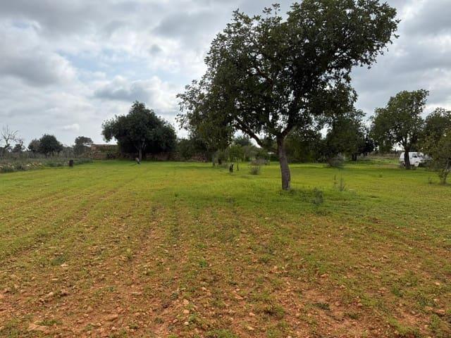 Terreno/Finca Rústica en venta en Llucmajor, Mallorca