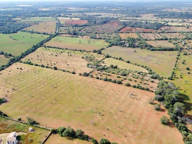 Terreno/Finca Rústica en venta en Llucmajor, Mallorca