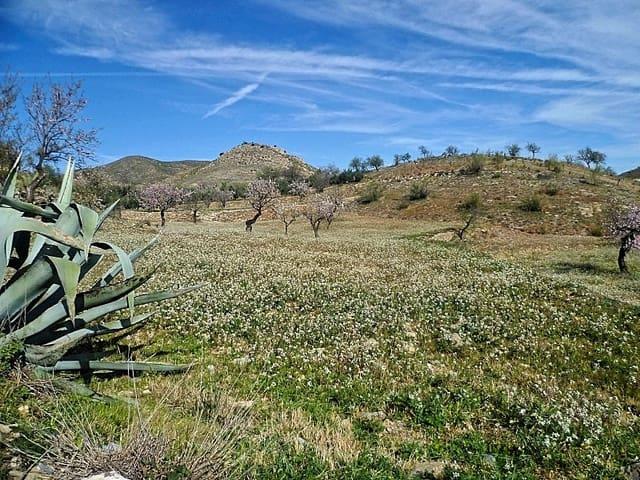 Terreno/Finca Rústica en venta en Lubrín, Almería Costa Almería