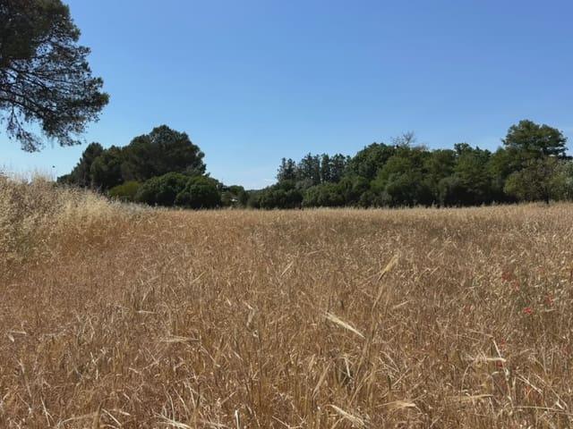 Terreno/Finca Rústica en venta en Manacor, Mallorca
