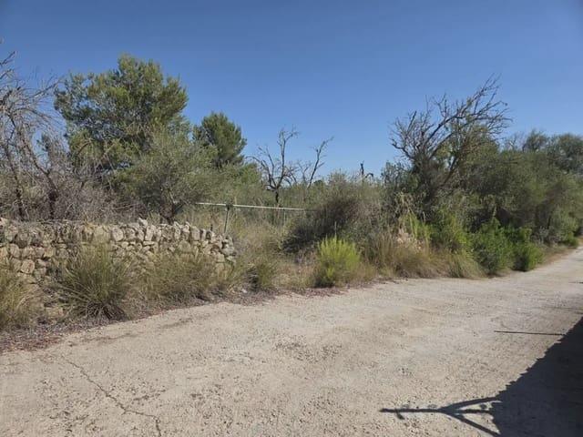 Terreno/Finca Rústica en venta en Manacor, Mallorca