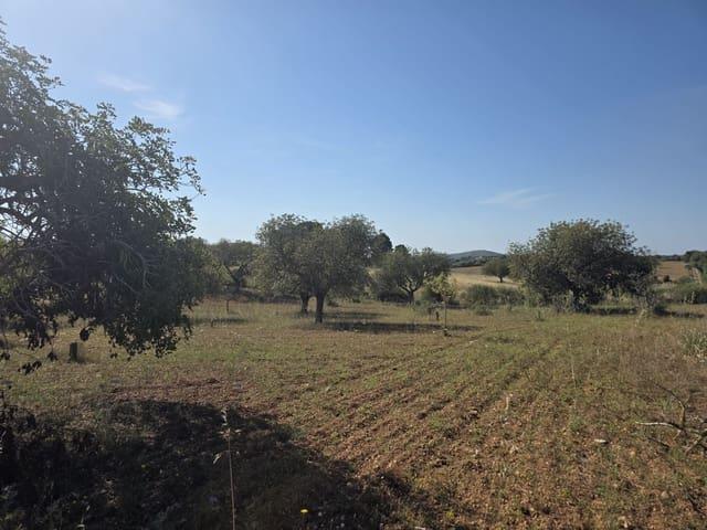 Terreno/Finca Rústica en venta en Manacor, Mallorca