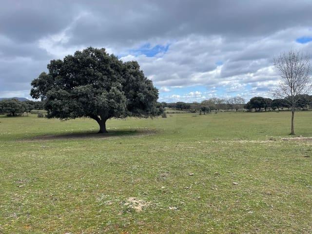 Terreno/Finca Rústica en venta en Galapagar, Madrid