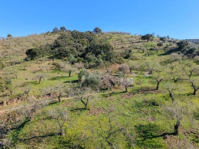 Terreno/Finca Rústica en venta en Málaga, Málaga Costa del Sol