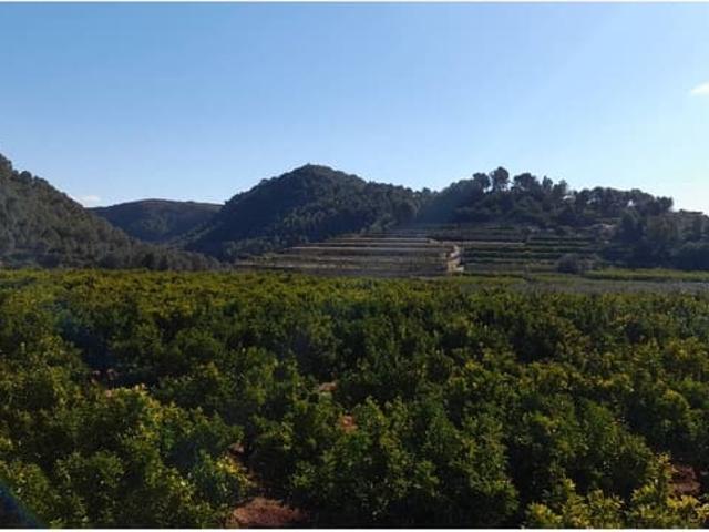 Terreno/Finca Rústica en venta en Monte Pego, Alicante Costa Blanca