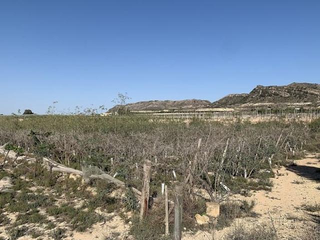 Terreno/Finca Rústica en venta en Monforte del Cid, Alicante
