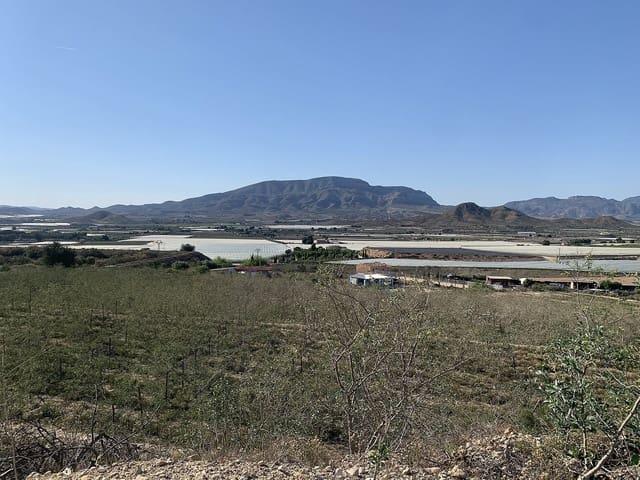 Terreno/Finca Rústica en venta en Monforte del Cid, Alicante