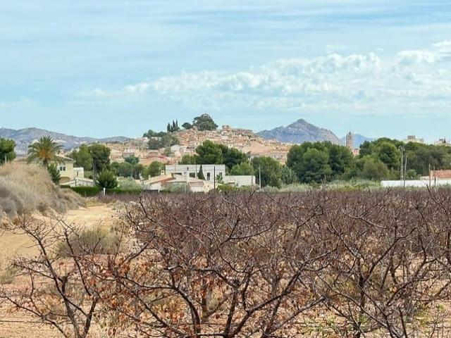 Terreno/Finca Rústica en venta en Monóvar / Monóver, Alicante