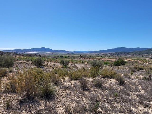 Terreno/Finca Rústica en venta en Monóvar / Monóver, Alicante
