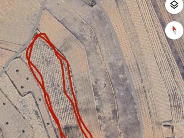 Terreno/Finca Rústica en venta en Monóvar / Monóver, Alicante