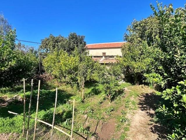 Terreno/Finca Rústica en venta en Murcia, Murcia