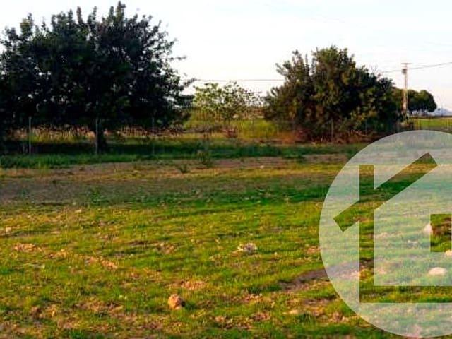 Terreno/Finca Rústica en venta en Murcia, Murcia