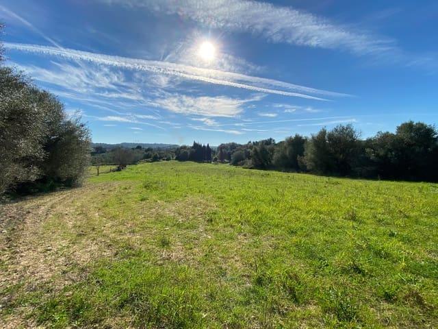 Terreno/Finca Rústica en venta en Muro, Mallorca