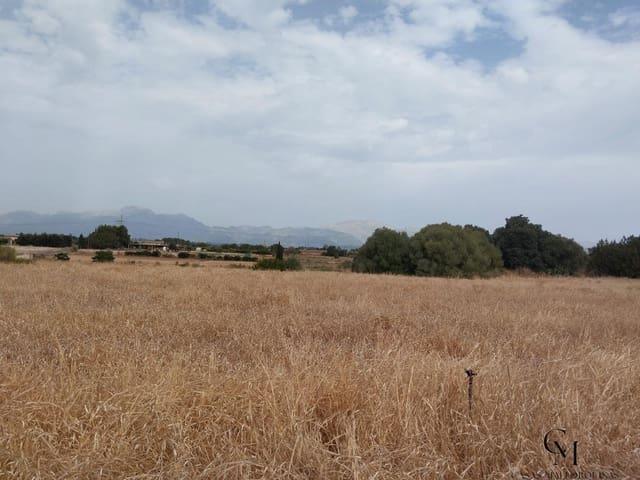 Terreno/Finca Rústica en venta en Muro, Mallorca