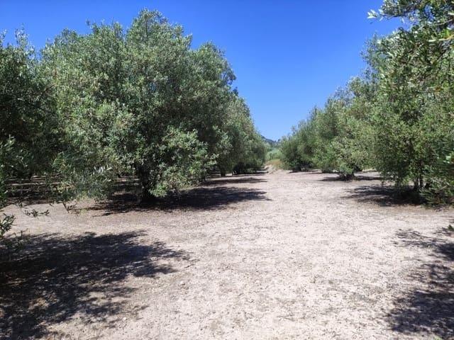 Terreno/Finca Rústica en venta en Muro de Alcoy, Alicante