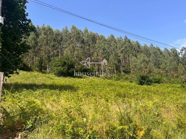 Terreno/Finca Rústica en venta en Narón, A Coruña Rías Altas