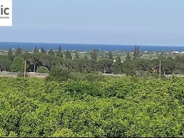 Terreno/Finca Rústica en venta en Oliva, Valencia Costa Valencia