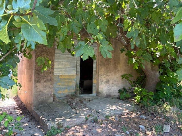 Terreno/Finca Rústica en venta en Oliva, Valencia Costa Valencia