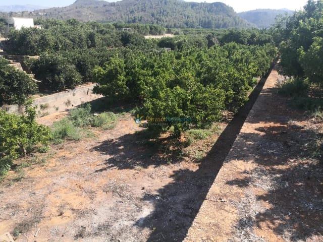 Terreno/Finca Rústica en venta en Oliva, Valencia Costa Valencia