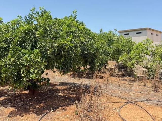 Terreno/Finca Rústica en venta en Ondara, Alicante Costa Blanca