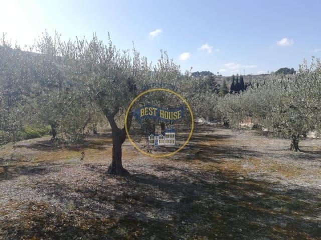 Terreno/Finca Rústica en venta en Ontinyent, Valencia