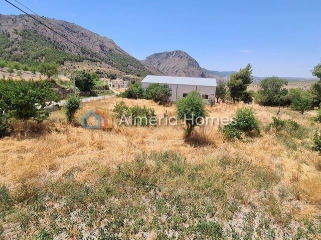 Terreno/Finca Rústica en venta en Oria, Almería