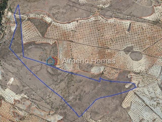 Terreno/Finca Rústica en venta en Oria, Almería