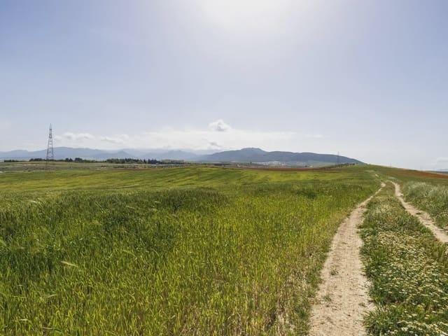 Terreno/Finca Rústica en venta en Otura, Granada