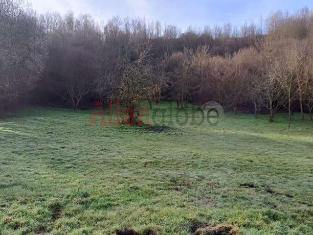 Terreno/Finca Rústica en venta en Oviedo, Asturias