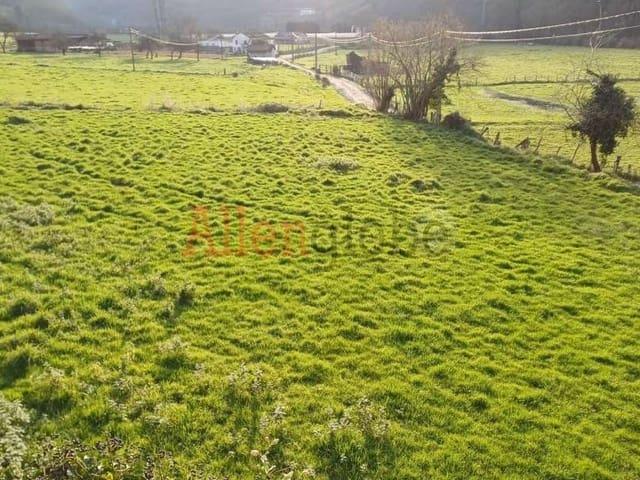 Terreno/Finca Rústica en venta en Oviedo, Asturias