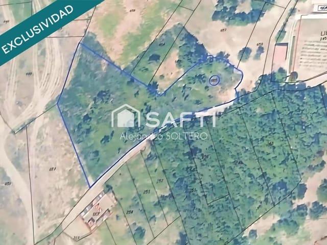 Terreno/Finca Rústica en venta en Pantón, Lugo