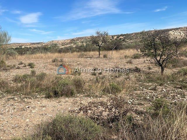 Terreno/Finca Rústica en venta en Partaloa, Almería