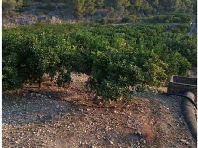 Terreno/Finca Rústica en venta en Pego, Alicante Costa Blanca