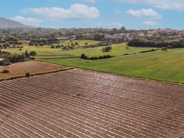 Terreno/Finca Rústica en venta en Petra, Mallorca