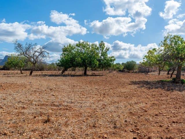 Terreno/Finca Rústica en venta en Petra, Mallorca