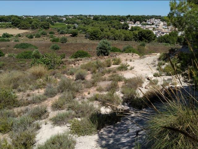 Terreno/Finca Rústica en venta en Pinar de Campoverde, Alicante Costa Blanca