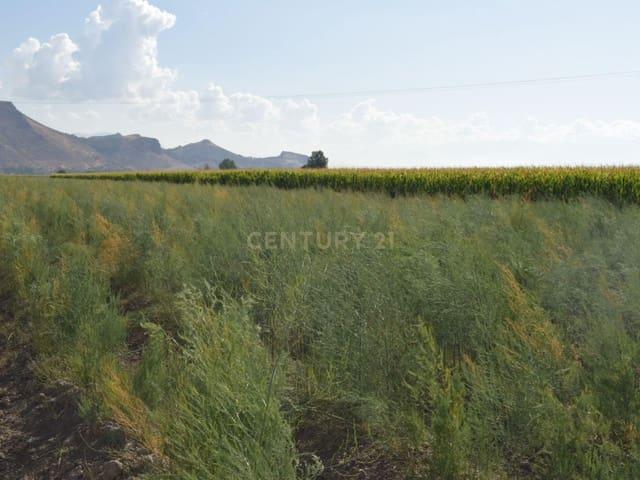 Terreno/Finca Rústica en venta en Pinos Puente, Granada