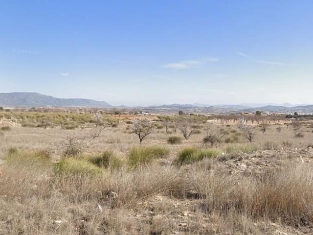 Terreno/Finca Rústica en venta en Pinoso, Alicante