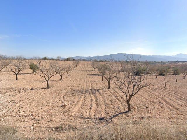 Terreno/Finca Rústica en venta en Pinoso, Alicante