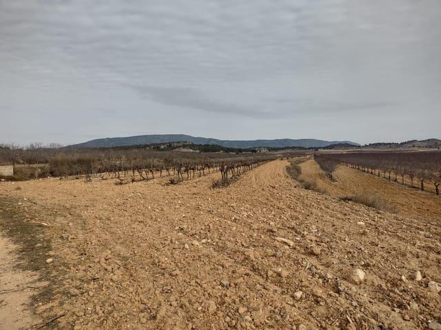 Terreno/Finca Rústica en venta en Pinoso, Alicante